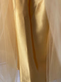 Tutu Tulle Golden Skirt